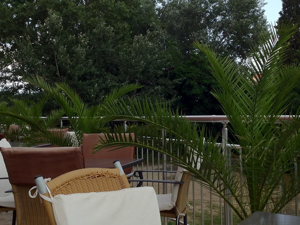 סאני ביץ' Tia Maria Hotel מראה חיצוני תמונה